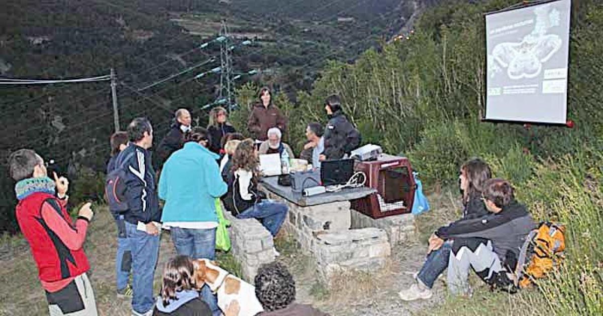 La Nit De Les Papallones Nocturnes