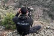 Un bander d'Andorra vigilant els caçadors.