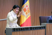 Carine Montaner en una sessió del Consell General.