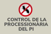 Campanya de control de la processionària del pi a Sant Julià