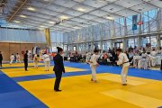 Campionat de judo.