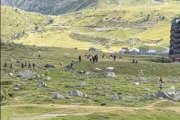 Els presumptes contrabandistes al Pas