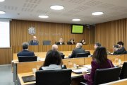 Un moment de la jornada de treball del grup interparlamentari Andorra-San Marino al Consell General.
