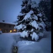 Una de les cases que s'anuncia en un dels portals.