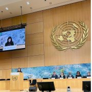 La compareixença de la ministra d'Afers Exteriors d'Andorra, Imma Tor, al 61è Consell de Drets Humans de l'ONU a Ginebra.