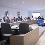 Marsol presentant el projecte als cònsols.