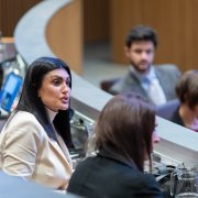 Montaner, en primer pla, ahir al Consell General.