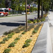 Imatge del bus comunal d’Andorra la Vella.