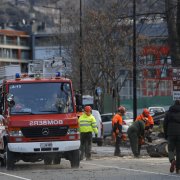 Els bombers treballant a l'avinguda Salou, on ha caigut l'arbre aquest matí.
