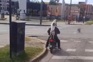 Un gos s'autoadopta en un semàfor.