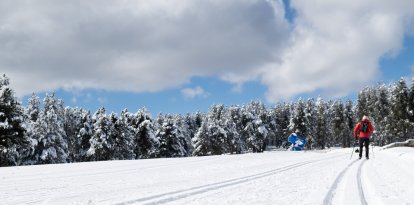 Esquiadors a Naturland.