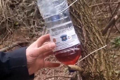 Les trampes que ha preparat el cos