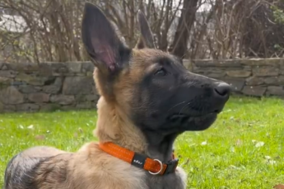 La policia presenta la nova gossa del cos.