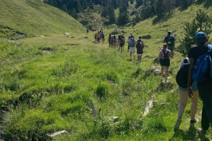 Imatges d'una de les activitats de l'any anterior