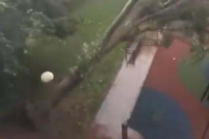 El vent fa caure un arbre a Logroño.
