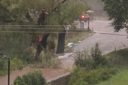 Una part d'un arbre trencat a conseqüència de la tempesta d'aquesta tarda.