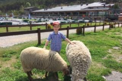 L'Andrés va passar “un dia de diversió” a Naturlandia amb el seu fill, que en aquesta foto està acompanyat de dues ovelles del parc.