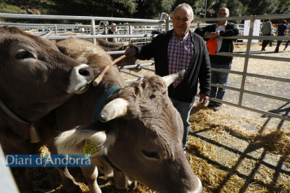 Un ramader i el seu bestiar a la Fira concurs d'Andorra la Vella