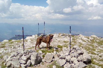 El Jon Zurano va pujar a la Serra del Cadí, al Pas dels Gosolans -Cerdanya. El seu gos va fer de model per a la foto.
