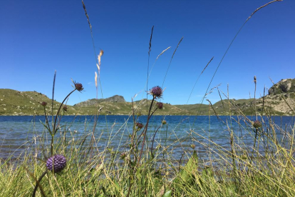 L'Alba ha trobat la tranquil·litat en aquest racó a la vora de l'estany de Fontargent.