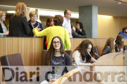 Diada de la Constitució al Consell General