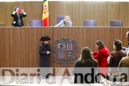 Diada de la Constitució al Consell General