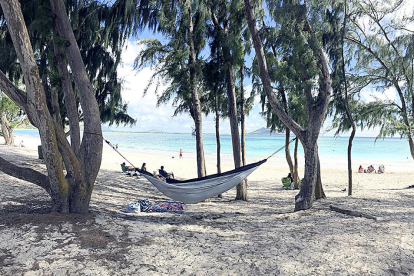 “Un bon lloc per gaudir i relaxar-se, a l'ombra dels arbres en la platja Kailua, a l'illa Oahu”, comenta el Manel Vallespí de l'estada de vacances a Hawaii que ha fet a finals de juliol.