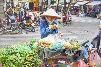 La imatge típica d'una venedora de les exòtiques fruites i verdures que es poden trobar als carrers de Hanoi és la fotografia que Pere Baró recull del primer dia del viatge que està fent aquest estiu pel Vietnam.