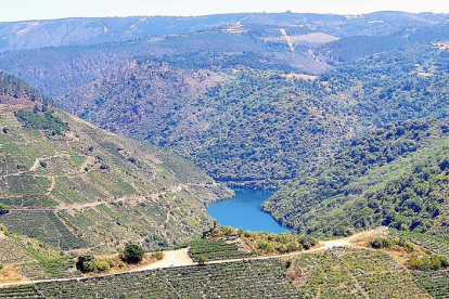 Cedric Ramos ha visitat aquest estiu la Ribeira Sacra, a Galícia. La zona comprèn part de les riberes dels rius Miño i Sil al seu pas entre el sud de Lugo i el nord d'Ourense. Un dels paisatges més coneguts de la zona també per les vinyes.
