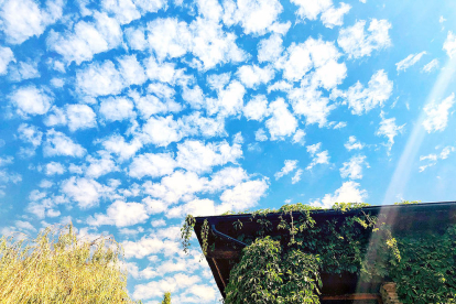 La claror del cel a l'estiu, combinada amb les petites nuvolades que es produeixen de tant en tant, poden deixar imatges curioses. La de Ferran Troguet capta un d'aquests moments, que també combina amb els colors de les plantes.