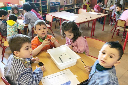 Els infants de la classe de les Bicicletes de l'escola andorrana de Sant Julià han fet de petits científics i han experimentat amb objectes per aprendre què és la densitat.