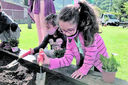 Al taller de jardineria de la Setmana del medi ambient els més petits van plantar una maduixera evitant productes químics i com a obsequi es van endur un exemplar de timó.