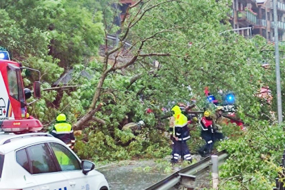 Bombers i serveis d'emergència treballant per retirar l'arbre