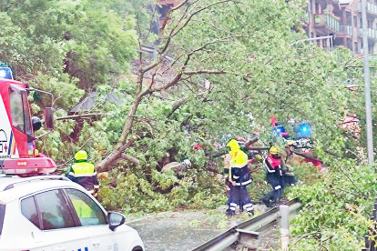 Un arbre caigut ha tallat el trànsit entre Ordino i La Massana