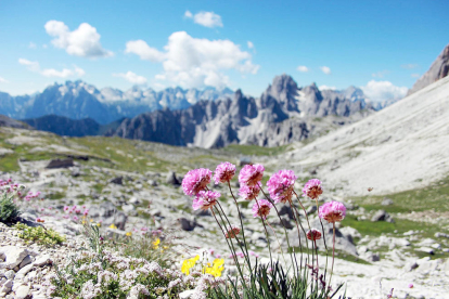 La Marta Planas es va quedar captivada per la primavera que desprenia el massís muntanyós de les Dolomites, als Alps orientals italians. Va fer la fotografia durant un dia d'excursió per aquest entorn natural sorprenent, d'encant primitiu i alhora majestuós.