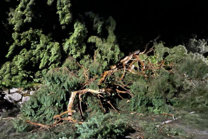 La carretera de la Plana a la Comella va ser una de les més afectades per la tempesta