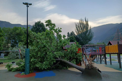 Un arbre tombat al parc infantil del Parc Central