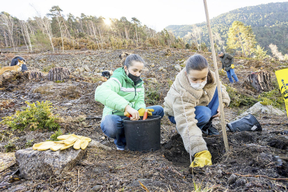 El comú d'Escaldes-Engordany ha reforestat el bosc de la Plana coincidint amb el Dia mundial de la natura. La zona havia quedat afectada per la ventada de l'11 de juliol del 2021.