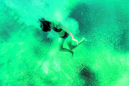 “L'experiència de bussejar entre peixos”, així és com descriu en Sergio aquesta imatge submarina que va disparar a s'Agaró, quan un gran banc de peixos els van sorprendre mentre practicaven snorkel.