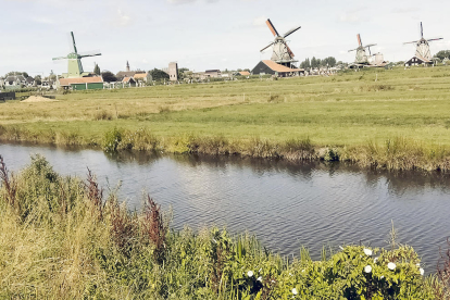 L'Eduard ens fa arribar aquesta imatge del seu viatge a Holanda, on va fer un passeig per Zaanse Schans, un barri de Zaandam que és conegut per la col·lecció de molins de vent i cases de fusta.