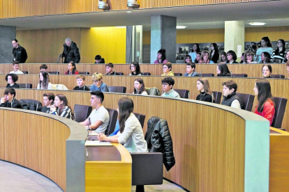 Els joves van ocupar els escons del Consell General per posar-se per un dia a la pell dels consellers. Vint-i-vuit joves de segona ensenyança van ser els responsables de debatre sis proposicions de llei que es van elevar al plenari per a la seva votació.