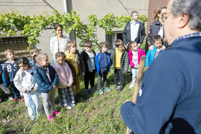 Enciams i tomàquets són les hortalisses que els nens i nenes de l'Escola andorrana d'Escaldes han plantat en un hort. La iniciativa permet que els infants puguin conèixer la terra.
