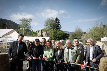 Fira del bestiar d'Ordino