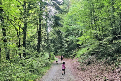 “Passejant i gaudint d'una excursió en família per la Selva de Irati. Un bosc que per si sol et fa desconnectar de tot i connectar amb la natura”, així descriu Dolors Capdevila el seu viatge al nord de Navarra.