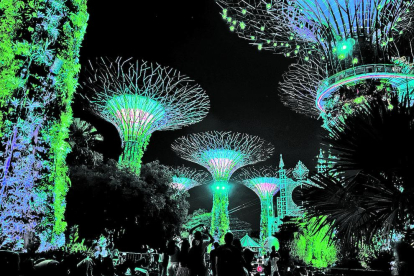 “Al nostre viatge a Singapur ens van impactar molt aquestes estructures anomenades Supertrees. Es tracta d'arbres artificials de fins a 50 metres d'altura que actuen com a jardins verticals, generant energia solar i recollint l'aigua de pluja”, explica la Rosa.