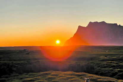 L'Hèctor Grau ens comparteix aquesta fotografia feta des d'Uttakleiv, a Noruega, on es poden veure dues ovelles mirant el sol de mitjanit. La foto va ser presa a la una i mitja de la matinada, segons indica Grau a les xarxes.