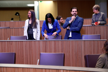 El grup d’Andorra Endavant, en una sessió del consell general.