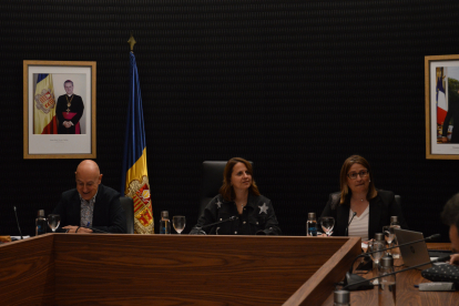 Joaquim Dolsa i Rosa Gili al consell de comú.