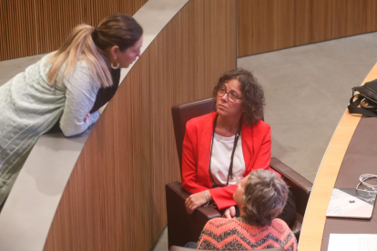 Judith Casal en una pausa avui en la sessió del Consell General