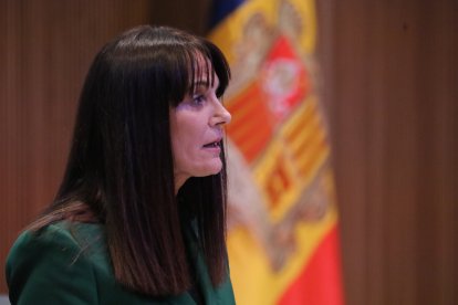 Mònica Bonell, al Consell General, el dia que es va aprovar la llei.